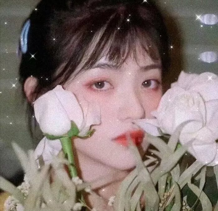南家三姐妹 甜品别腹封面